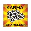 Karma Chameleon - Single