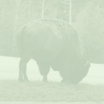 no rush, love (never going back to montana) (feat. Mo Dubs, orangeben, art mackintosch & Zac Sanders) - Single