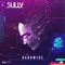 Hardwire - Sully lyrics