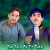 Zan Sara Pa Zid Sham - Single