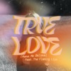The Flaming Lips True Love (Make Me Believe) [feat. The Flaming Lips] [Edit] True Love (Make Me Believe) [feat. The Flaming Lips] [Edit] - Single
