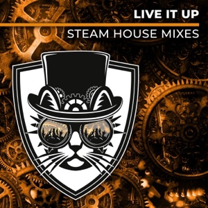 Live It Up (Steam House Mixes) - Single