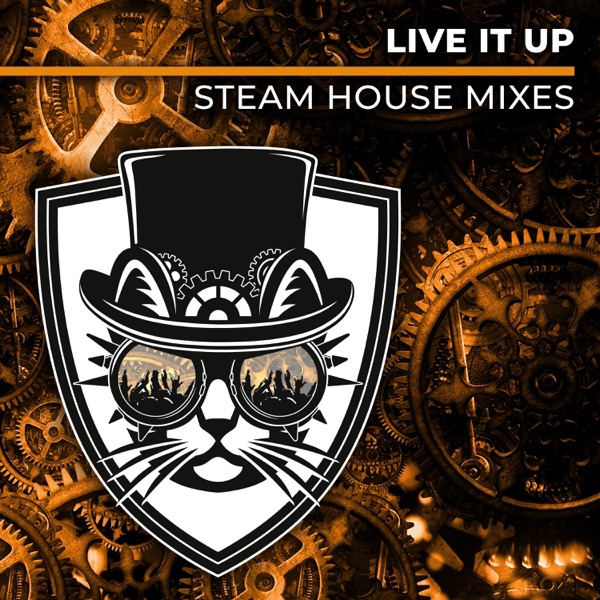 Live It Up (Steam House Mixes) - Single