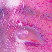 Virgo - Single - STAYLEAVE & Juan Oliva