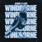 Windborne - DJ Bose & Artomik lyrics