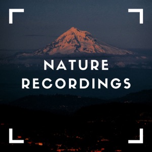 Natural Recordings of Green