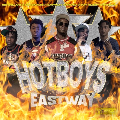 Hotboys (feat. Red Dollarz, Lhg Savage, Fay Gleezy & Richey P) - Single