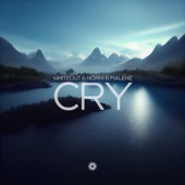 Cry artwork