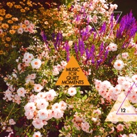 Music for Quiet Moments 12 (Chicago 12 Oct 2005) - Single - Robert Fripp