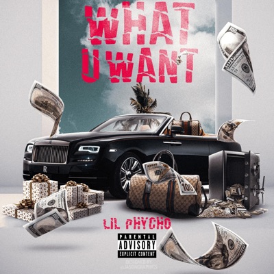 What U Want - Single
