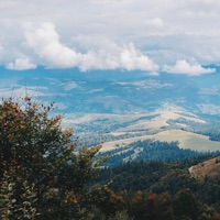 Rodych - Single - 36 & zakè