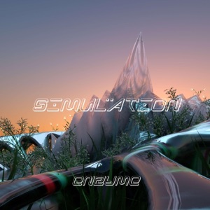 Simulation