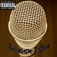 Tumbado Estoy - Single - compa mandis