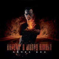 Raport Z Wyspy Diabła - Remek BRG