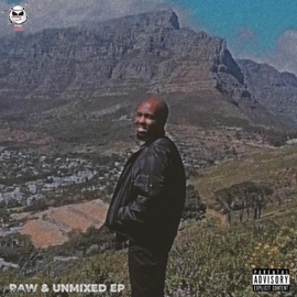 Dem 4 understand (feat. Kwame Yesu & McRay) Frd