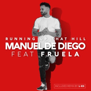Running up That Hill (Cover) [feat. Fruela] - Single