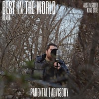Best in the World (feat. Austin Sauer & King Cxge) [Remix] - Single - Dapo