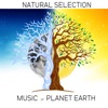 Olivier Foubert Drift Away Natural Selection: Music of Planet Earth
