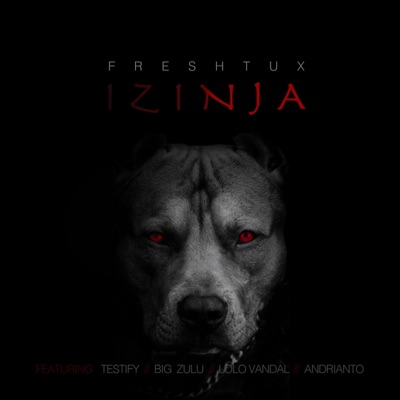 Izinja (feat. Big Zulu, Testify, Lolo Vandal & Adrianto) - Single