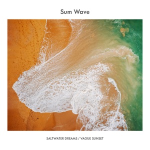 Saltwater Dreams