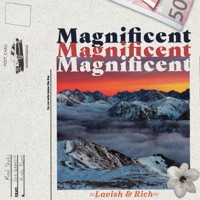 Magnificent (feat. Gio Genesis & Kiraly Payne) - Single - Reed Starks