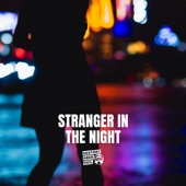 Stranger in the night artwork