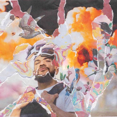 Revolutionary But Gorgeous