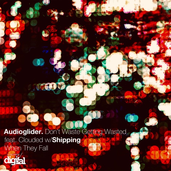 Don't Waste Getting Wasted - Single