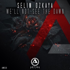 We'll Not See the Dawn - Single