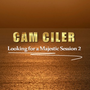 Looking for a Majestic Session 2 (DJ Mix)