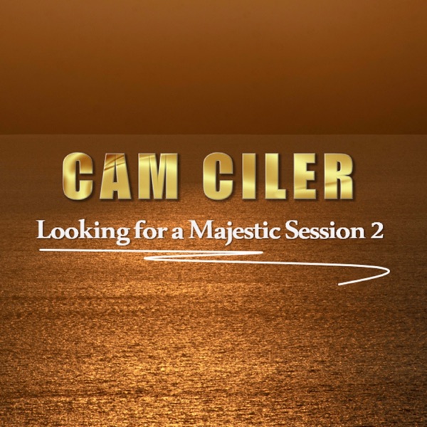 Looking for a Majestic Session 2 (DJ Mix)