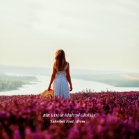 Bir Şamar Gibiydi Gidişin (feat. Afrem) - Single - Tahribat