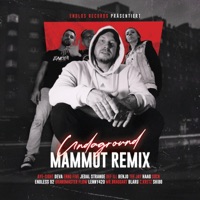 Undaground (feat. C.KRETZ, Mr. Braggart, Def ILL, Enno Five, Socn, DEVA, Teejay, Haag Fv, Jedal Strange, BenJo, AYE-sight, Endless 92, Grandmaster Flow & Lenny420) [Mammut Remix] - Single - Shibo & Blaru