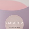 Senorita - Single
