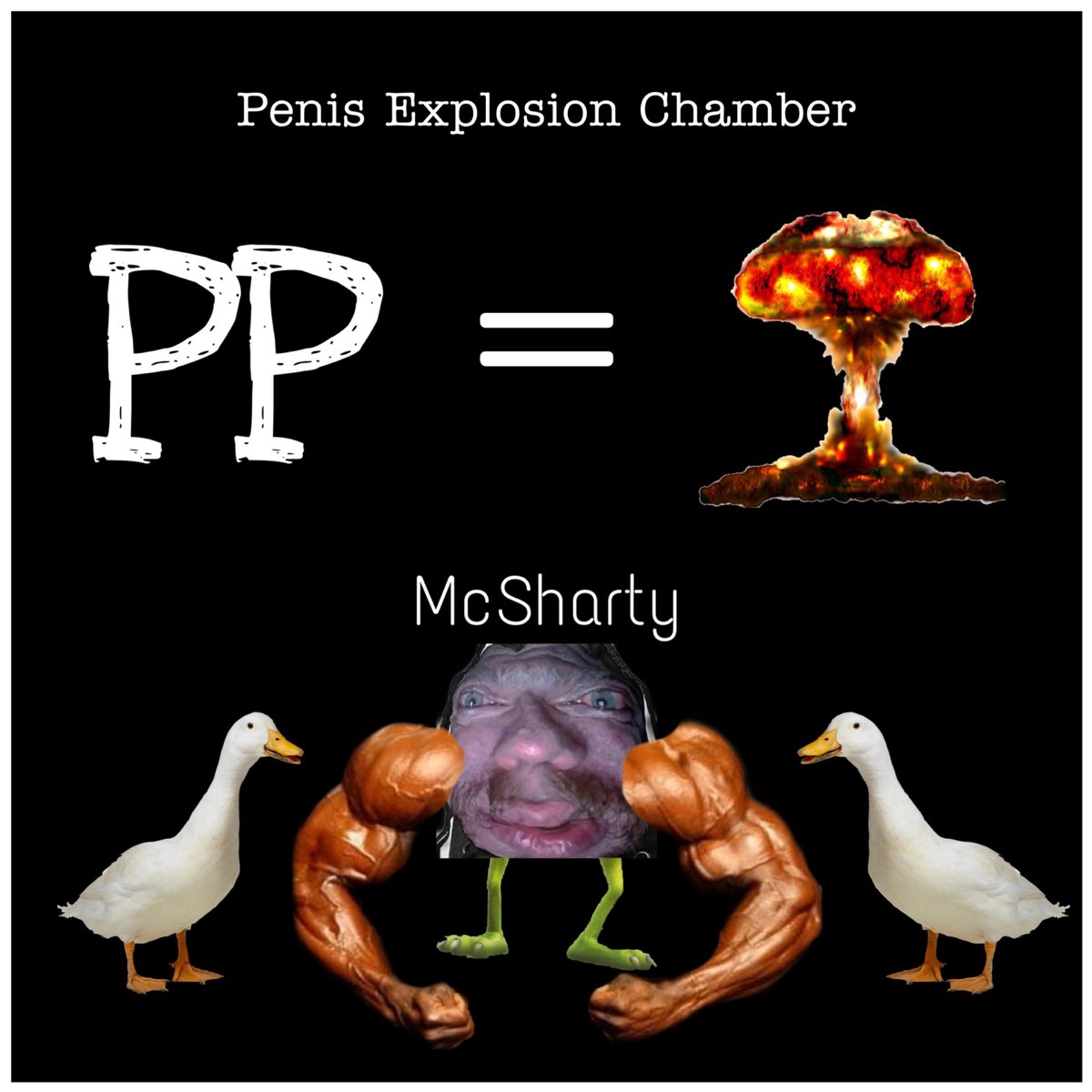 Penis explosion chamber