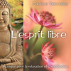 L'esprit libre : Musique pour relaxation et méditation - Fabrice Tonnellier