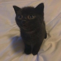 All Up In My Heart - Single - faithluna