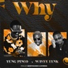 Why (feat. Wavey Lynk) - Single