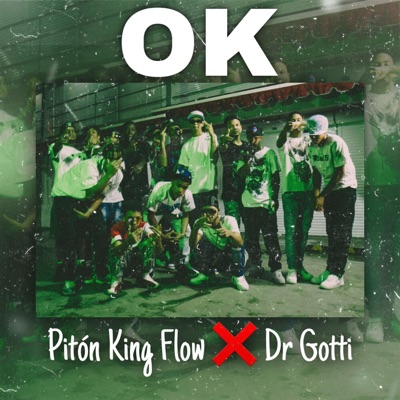Ok (feat. Dr Gotti) - Single