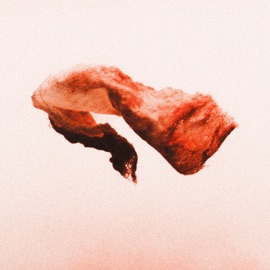 Banner of Blood John Long