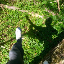 Get Back (feat. tracey brakes) goji!