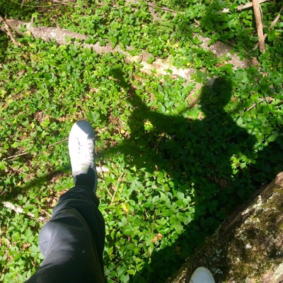 Get Back (feat. tracey brakes) - Single