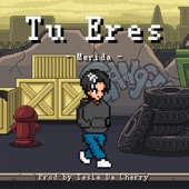 Tú Eres (feat. Tesla Da Cherry) artwork