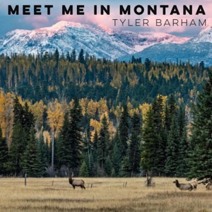 Meet Me In Montana (feat. Cassey Walker) - Single