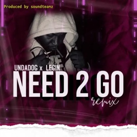 Somewhere 2 go (feat. LEGIN.) Undadog