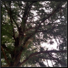 Link (feat. Lovewithme, Slow Sun, Leekyjak, Richard Alfaro & Hide Moon) Devon Rea