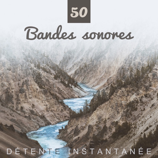 50 Bandes sonores: Détente instantanée - Calme musique pour relaxation, massage, yoga et dormir, sons de la nature douce et apaisant