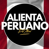 Alienta Peruano artwork