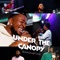 Under the Canopy - BisiManuel lyrics