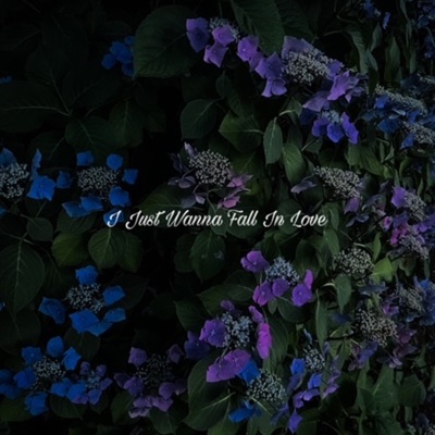I Just Wanna Fall In Love - Single